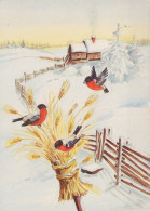OISEAU Animaux Vintage Carte Postale CPSM #PAM829.A - Vögel