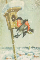 PÁJARO Animales Vintage Tarjeta Postal CPSM #PAM652.A - Oiseaux