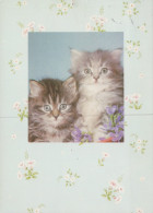 CHAT CHAT Animaux Vintage Carte Postale CPSM #PAM314.A - Cats