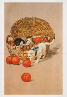 GATTO KITTY Animale Vintage Cartolina CPSM Unposted #PAM288.A - Katzen