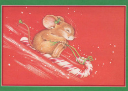 Happy New Year Christmas RABBIT Vintage Postcard CPSM #PAV027.A - Neujahr