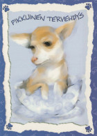 PERRO Animales Vintage Tarjeta Postal CPSM #PBQ424.A - Dogs