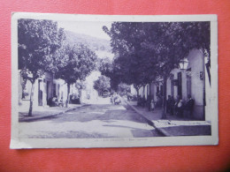 AIN - DRAHAL  ( TUNISIE ) N° 19 - Rue Centrale                TABARKA - BOU SALEM - Tunisie