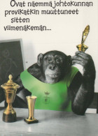 MONO Animales Vintage Tarjeta Postal CPSM #PBS011.A - Singes