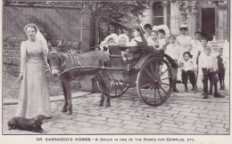 ESEL Tiere Vintage Antik Alt CPA Ansichtskarte Postkarte #PAA024.A - Donkeys