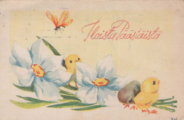 OSTERN HUHN EI Vintage Ansichtskarte Postkarte CPA #PKE400.A - Pascua