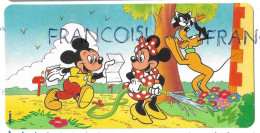 Mickey Apporte Une Lettre, Minnie, Pluto Et Un Chat Au Jardin - Comics