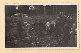 Photo Visite Anciens Combattants Abris Du Kronprinz - Bois De La Gruerie - Argonne - Meuse Années 1930 - Lieux