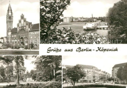 73101953 Koepenick Rathaus Anlegestelle Luisenhain Kulturpark Schlossinsel Mandr - Sonstige & Ohne Zuordnung