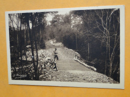 NOGENT L'ARTAUD -- Lot De 3 Cartes Différentes - Promenade à La Charnoie, Siphon De La Days Et Ruines Du Couvent - Andere & Zonder Classificatie