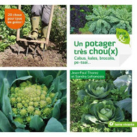 Un Potager Très Choux(x): Cabus Kales Brocolis Pe-tsai - Otros & Sin Clasificación