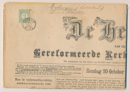 Em. 1876 Alkmaar - Zeist - Compleet Dagblad - Storia Postale