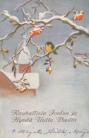 VOGEL Vintage Ansichtskarte Postkarte CPSMPF #PKG958.DE - Birds