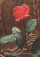 FLOWERS Vintage Ansichtskarte Postkarte CPSM #PBZ423.DE - Fleurs