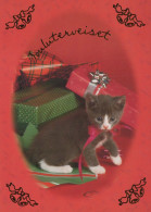 KATZE MIEZEKATZE Tier Vintage Ansichtskarte Postkarte CPSM #PBR007.DE - Katten