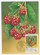 Maximum Card Hungary 1986 Raspberries - Obst & Früchte