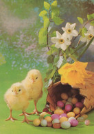 OSTERN HUHN EI Vintage Ansichtskarte Postkarte CPSM #PBO837.DE - Easter