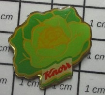 1818c Pin's Pins / Beau Et Rare / THEME : ALIMENTATION / KNORR CHOU OU SALADE Par ARCANE - Food