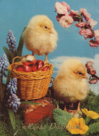 OSTERN HUHN EI Vintage Ansichtskarte Postkarte CPSM #PBO710.DE - Pascua