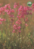 FLOWERS Vintage Ansichtskarte Postkarte CPSM #PAR535.DE - Flowers