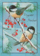 VOGEL Tier Vintage Ansichtskarte Postkarte CPSM #PAM971.DE - Birds