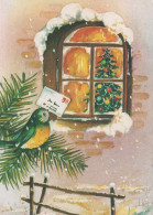 VOGEL Tier Vintage Ansichtskarte Postkarte CPSM #PAN034.DE - Vögel