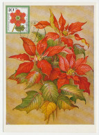 Maximum Card Germany 1979 Plant - Poinsettia - Noël