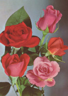 FLORES Vintage Tarjeta Postal CPSM #PAS678.ES - Flowers