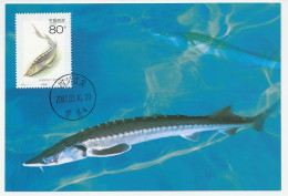 Maximum Card China 2001 Fish - Sturgeon - Vissen