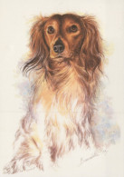 PERRO Animales Vintage Tarjeta Postal CPSM #PAN857.ES - Dogs