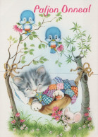 GATO GATITO Animales Vintage Tarjeta Postal CPSM #PAM153.ES - Chats