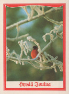 OISEAU Vintage Carte Postale CPSMPF #PKG957.FR - Oiseaux