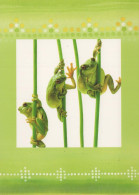 GRENOUILLE Animaux Vintage Carte Postale CPSM #PBS842.FR - Andere & Zonder Classificatie