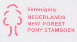 Meter Proof / Test Strip FRAMA Supplier Netherlands New Forest Studbook - Horse - Paardensport