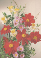 FLEURS Vintage Carte Postale CPSM #PAR173.FR - Blumen