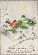 OISEAU Animaux Vintage Carte Postale CPSM #PAM970.FR - Birds