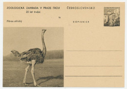 Postal Stationery Czechoslovakia 1956 Bird - Ostrich - Zoo Prague - Other & Unclassified