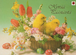 EASTER CHICKEN EGG Vintage Postcard CPSM #PBO896.GB - Ostern