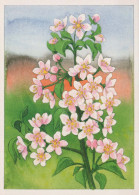 FLOWERS Vintage Postcard CPSM #PAR291.GB - Blumen