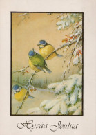 BIRD Animals Vintage Postcard CPSM #PAM842.GB - Birds