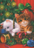 GATTO KITTY Animale Vintage Cartolina CPSM #PBQ881.IT - Katzen