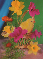 PASQUA POLLO UOVO Vintage Cartolina CPSM #PBP152.IT - Easter