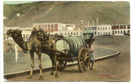 YEMEN CPA Couleur Voyagé 1908 * ADEN Water Car ( Voiture à Eau Chameau ) Voyagé * I. Benghiat Son Aden - Yémen