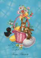 PASQUA CONIGLIO Vintage Cartolina CPSM #PBO525.IT - Ostern