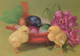 PASQUA POLLO UOVO Vintage Cartolina CPSM #PBO900.IT - Ostern