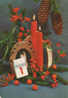 Buon Anno Natale CAVALLOSHOE Vintage Cartolina CPSM #PAT923.IT - Nieuwjaar