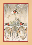 UCCELLO Animale Vintage Cartolina CPSM #PAM909.IT - Birds