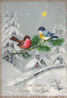 UCCELLO Animale Vintage Cartolina CPSM #PAM972.IT - Birds