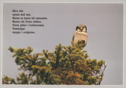 UCCELLO Animale Vintage Cartolina CPSM #PAM660.IT - Birds