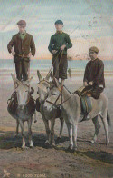 DONKEY Animals Vintage Antique Old CPA Postcard #PAA289.GB - Burros